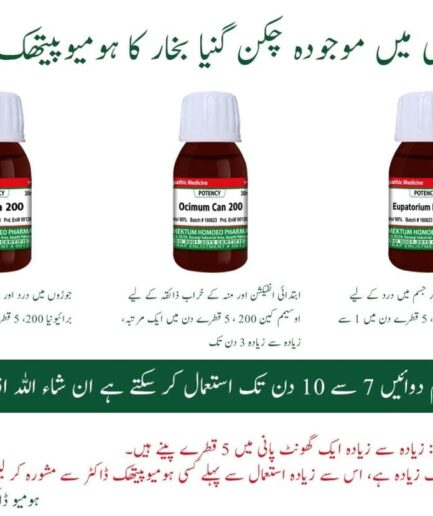 Homeopathic Treatment for the Current Chikungunya Fever*